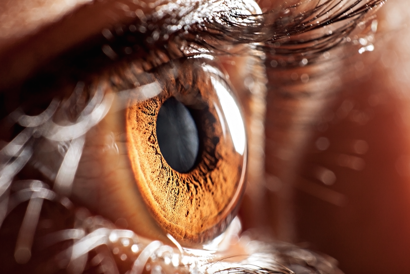 enfermedades oculares comunes